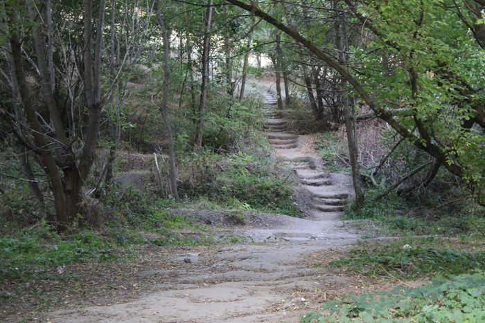 photo, nature, zaporozhye, ukraine, ravine