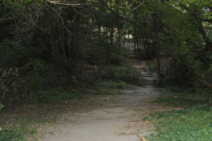 photo, nature, zaporozhye, ukraine, ravine