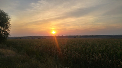 photo, road, nature, ukraine